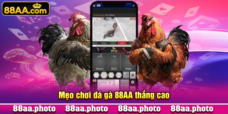 Mẹo chơi đá gà 88AA thắng cao